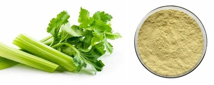 How to Choose the Right Apigenin Bulk Powder Supplier?