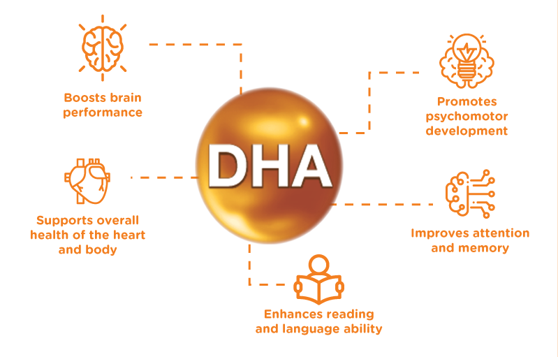 What is DHA powder?