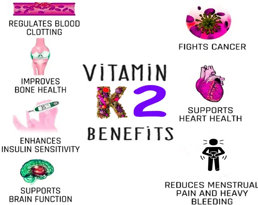 Why Choose Vitamin K2 Powder for Bone Support?