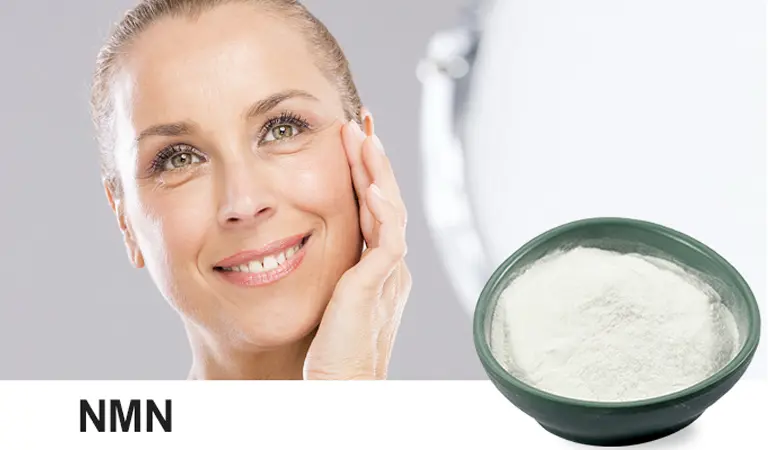 Nicotinamide Powder Product Description