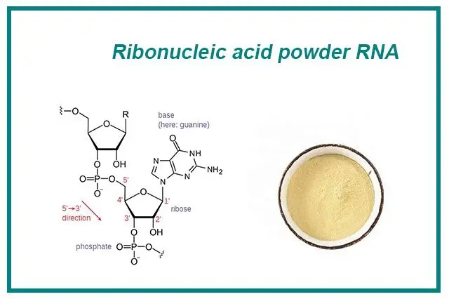 Ribonucleic Acid Powder: Scientific Evidence and Applications Ribonucleic Acid Powder: Scientific Evidence and Applications