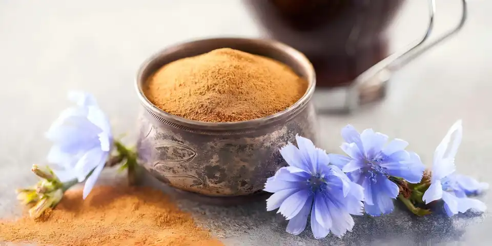 Chicory Extract Powder Bulk for Prebiotic Applications Chicory Extract Powder Bulk for Prebiotic Applications