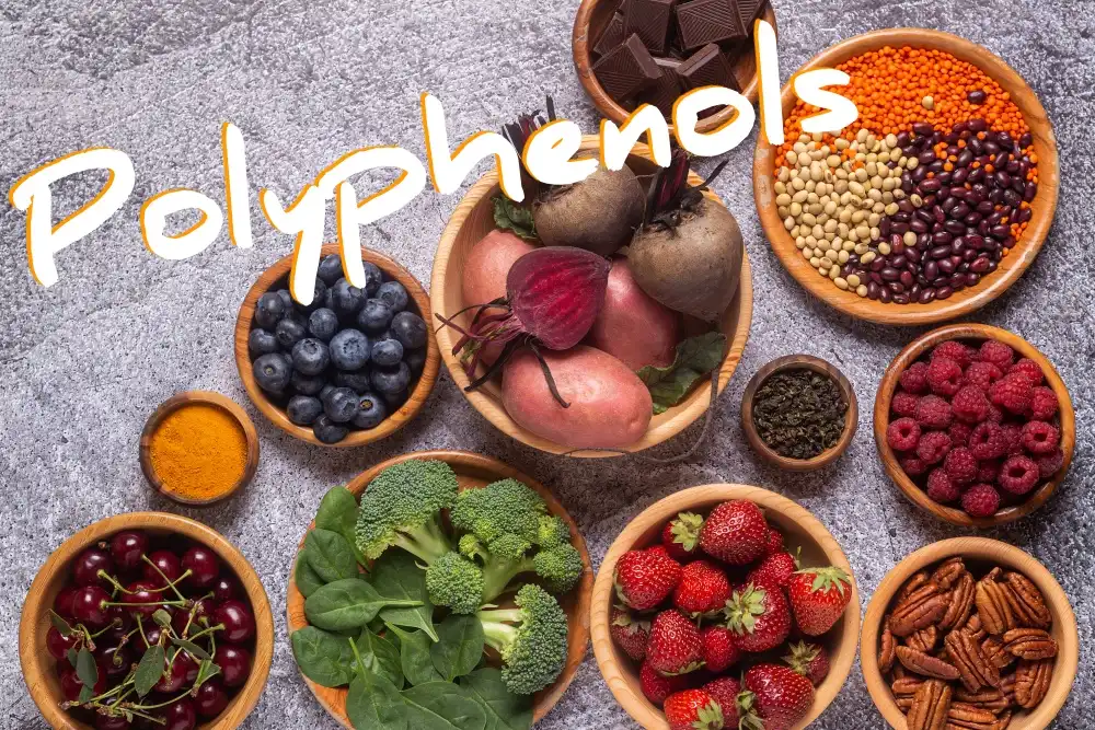 Polyphenol Powder Benefits: Why Is It So Popular? Polyphenol Powder Benefits: Why Is It So Popular?