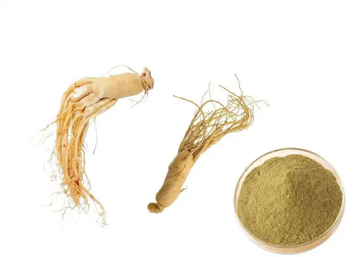 Is Your Ginseng Root Extract Powder Ready for Bulk Orders?