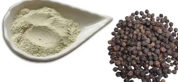 How to Choose the Best Piperine Bulk Powder Supplier?