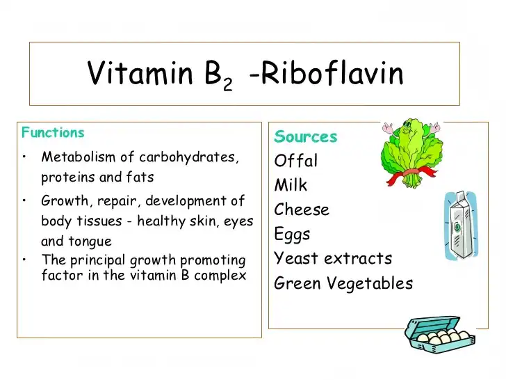 Can Riboflavin Powder Improve Vitamin Product Lines?