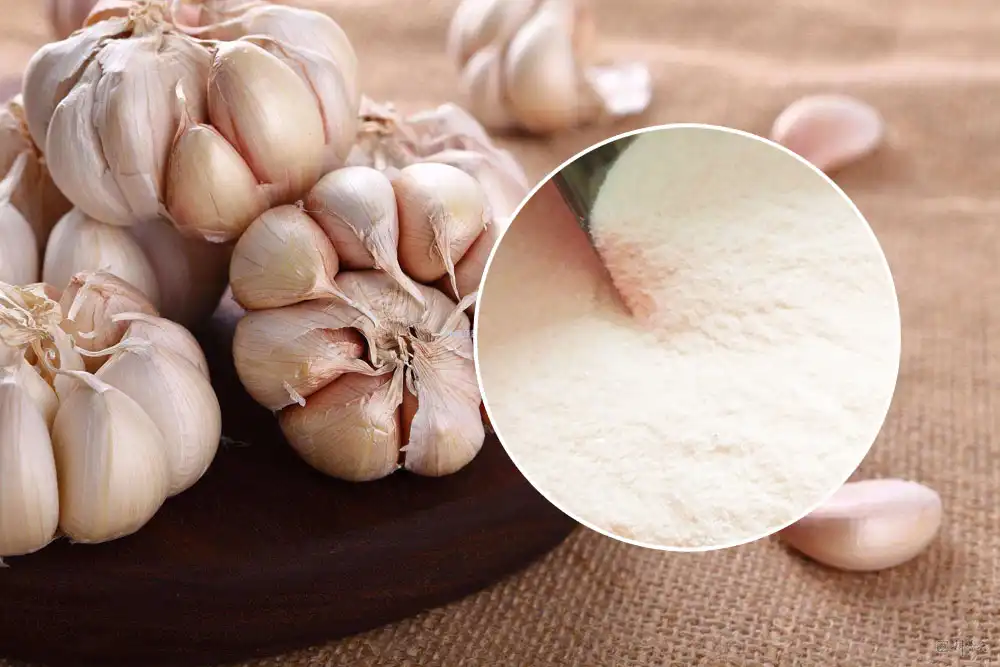 Can Allicin Powder Enhance Immune Supplement Lines?