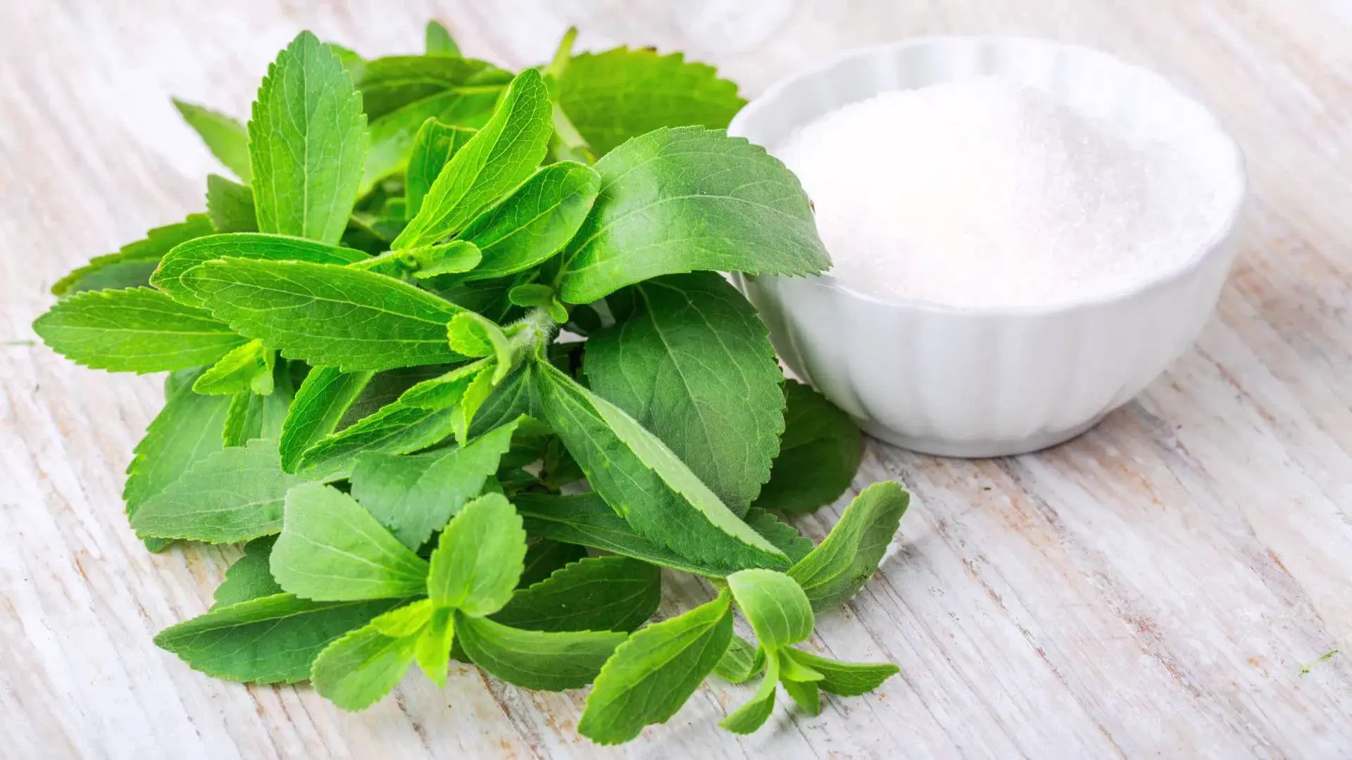 Product Description-Stevia Extract Product Description-Stevia Extract