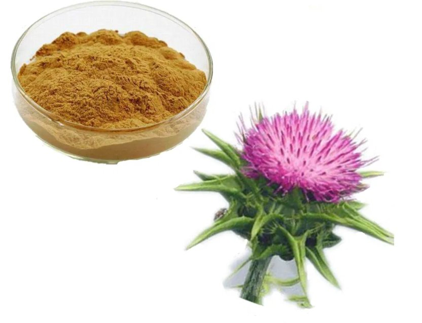 Product Descrption-Silymarin Powder