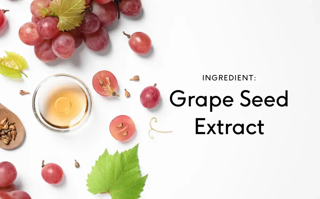 Is Grape Seed Extract Powder Suitable for Anti-Aging Products?