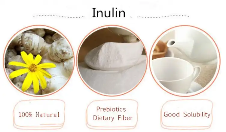 Can Inulin Powder Improve Prebiotic Supplement Lines?