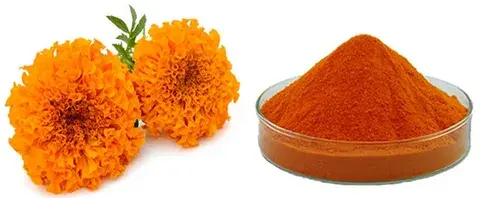 How to Compare Global Zeaxanthin Powder Suppliers Effectively?