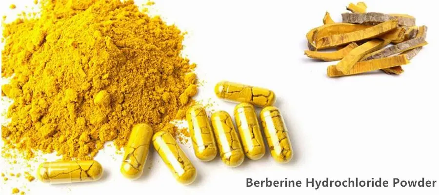 Berberine Chloride Powder Factory Supply for OEM and Private Label
