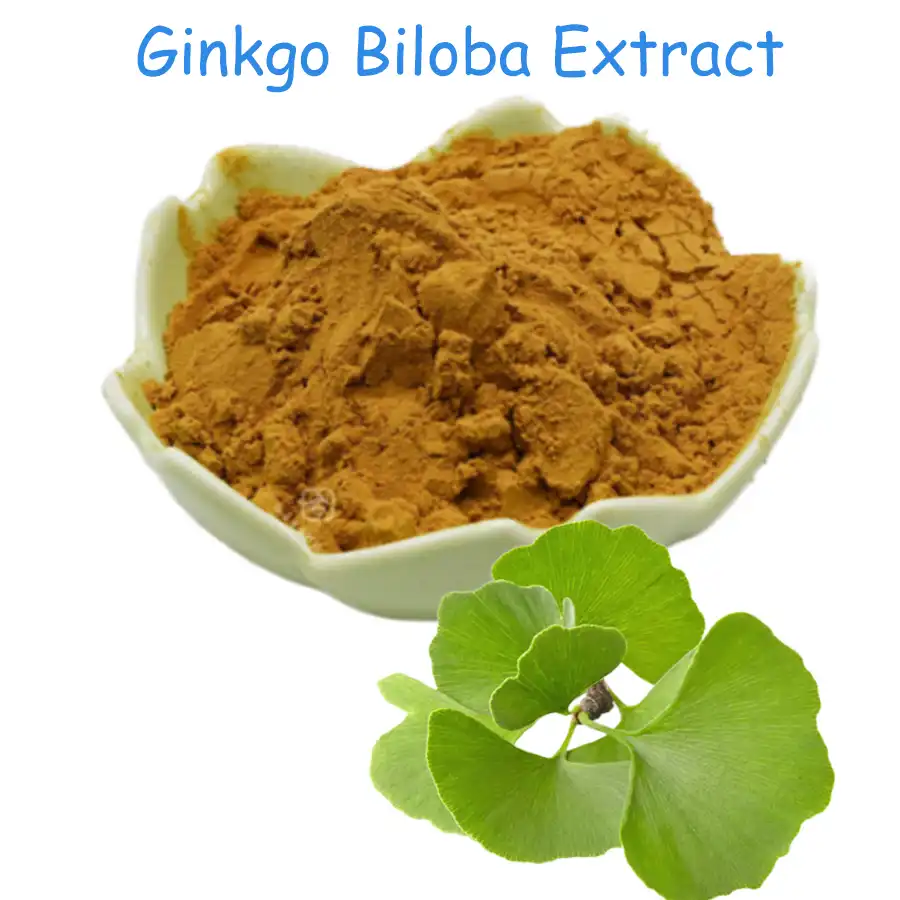 What to Look for in Bulk Ginkgo Biloba Extract Powder?