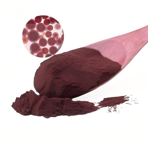 Astaxanthin Powder Antioxidant Capacity and Mechanism