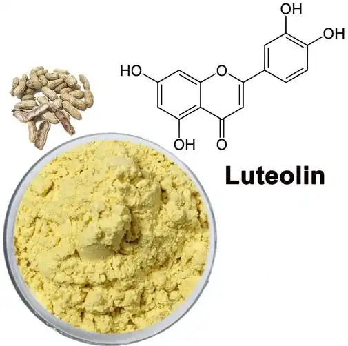 How Luteolin Powder Promotes Brain Function and Cognitive Clarity?