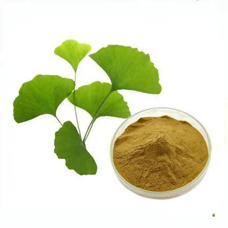 How Pure Should Ginkgo Biloba Extract Powder Be for OEM Use?