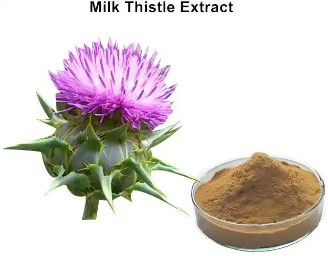 Milk Thistle Extract Powder Uses in Supplements and Functional Foods