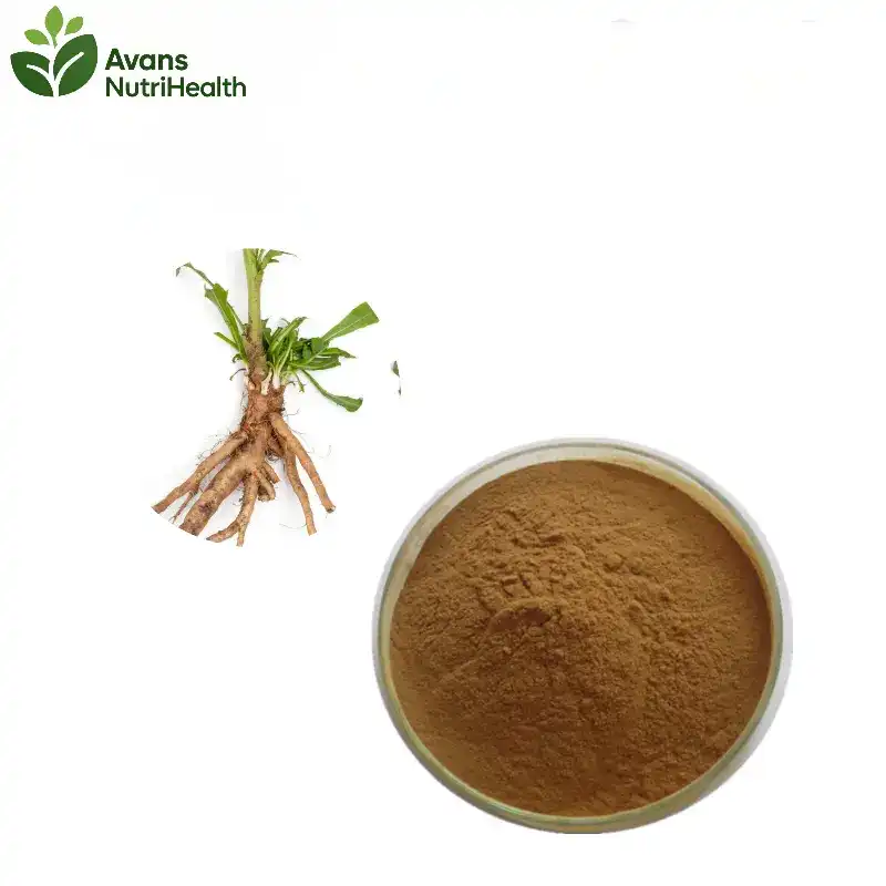 Chicory Extract Powder