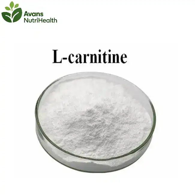 L-Carnitine Powder