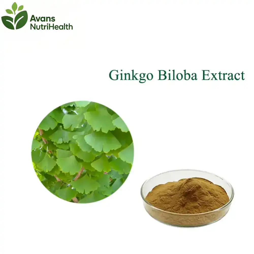 ginkgo biloba leaf extract powder