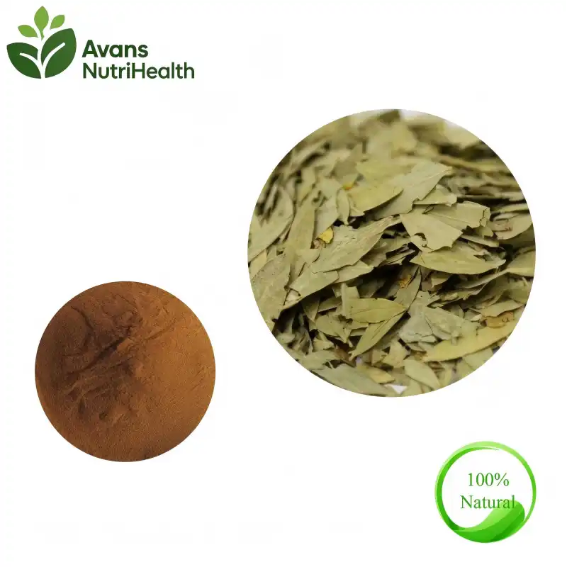 Folium Sennae Extract Powder