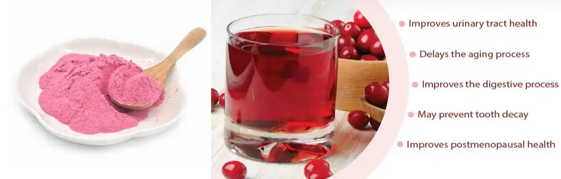 Why Are Health Brands Choosing Cranberry Fruit Extract Powder?